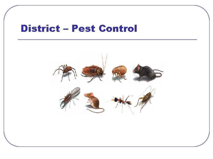 District – Pest Control 