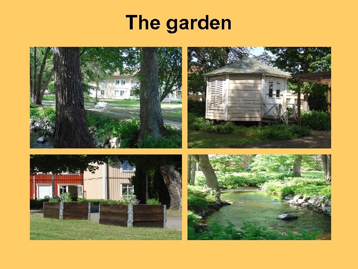 The garden 
