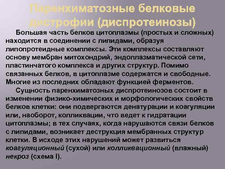Большая часть белков цитоплазмы (простых и сложных) находится в соединении с липидами, образуя липопротеидные