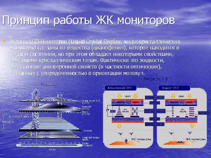 Принцип работы ЖК мониторов • Экраны LCD мониторов (Liquid Crystal Display, жидкокристаллические мониторы) сделаны