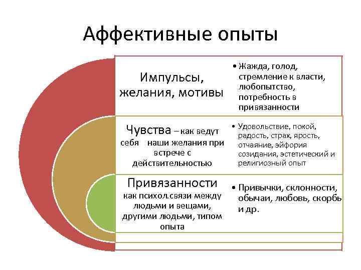 Аффективные опыты Импульсы, желания, мотивы • Жажда, голод, стремление к власти, любопытство, потребность в