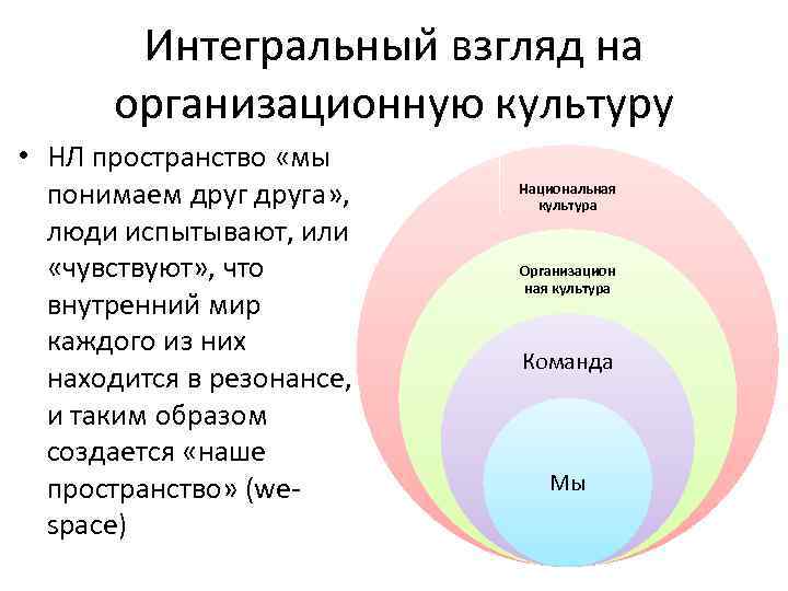 Интегральныи взгляд на организационную культуру • НЛ пространство «мы понимаем друга» , люди испытывают,