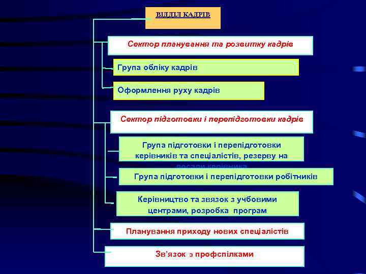 ВІДДІЛ КАДРІВ Сектор планування та розвитку кадрів Група обліку кадрів Оформлення руху кадрів Сектор