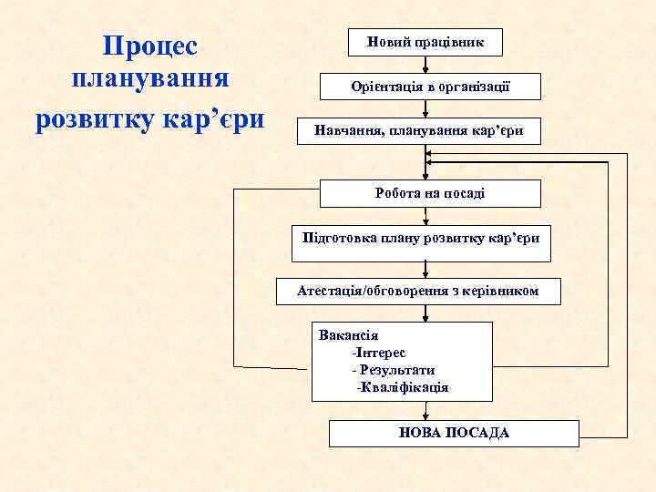 Процес планування розвитку кар’єри Новий працівник Орієнтація в організації Навчання, планування кар’єри Робота на