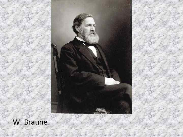 W. Braune 