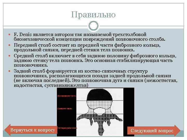Правильно F. Denis является автором так называемой трехстолбовой биомеханической концепции повреждений позвоночного столба. Передний