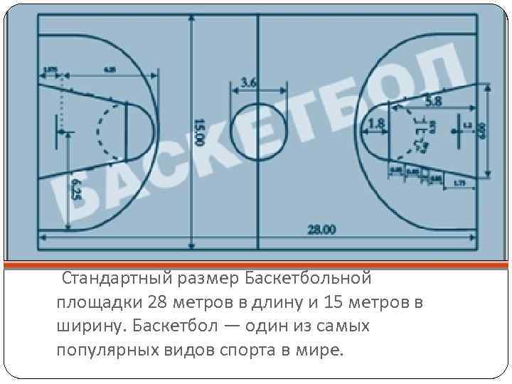 Стандартный размер Баскетбольной площадки 28 метров в длину и 15 метров в ширину.
