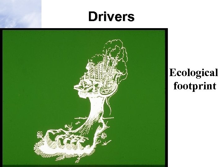 Drivers Ecological footprint 