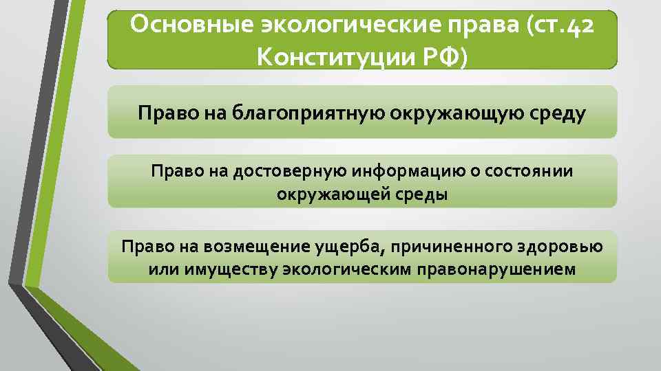 Основные экологические права (ст. 42 Конституции РФ) Право на благоприятную окружающую среду Право на