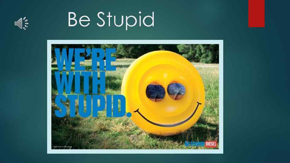 Be Stupid 