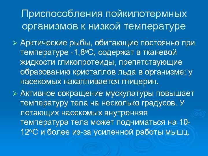 Приспособления пойкилотермных организмов к низкой температуре Арктические рыбы, обитающие постоянно при температуре -1, 8