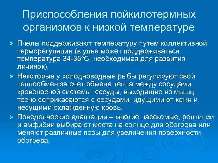 Приспособления пойкилотермных организмов к низкой температуре Пчелы поддерживают температуру путем коллективной терморегуляции (в улье