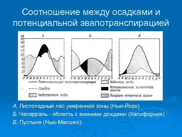 Соотношение между осадками и потенциальной эвапотранспирацией А. Листопадный лес умеренной зоны (Нью-Йорк) Б. Чапарраль