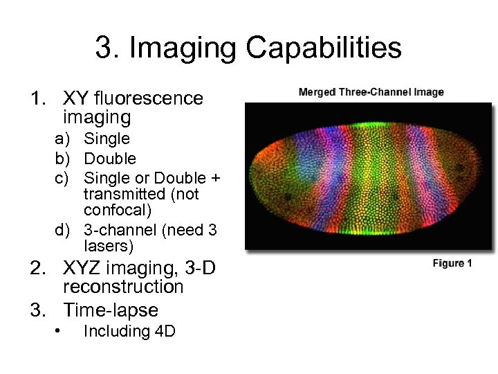 3. Imaging Capabilities 1. XY fluorescence imaging a) Single b) Double c) Single or