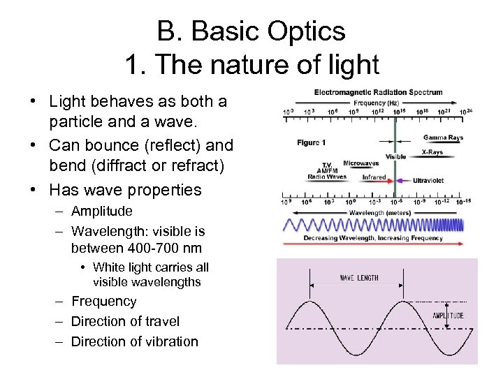 B. Basic Optics 1. The nature of light • Light behaves as both a