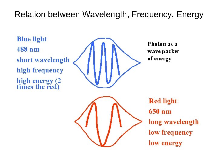 Relation between Wavelength, Frequency, Energy Blue light 488 nm short wavelength high frequency high