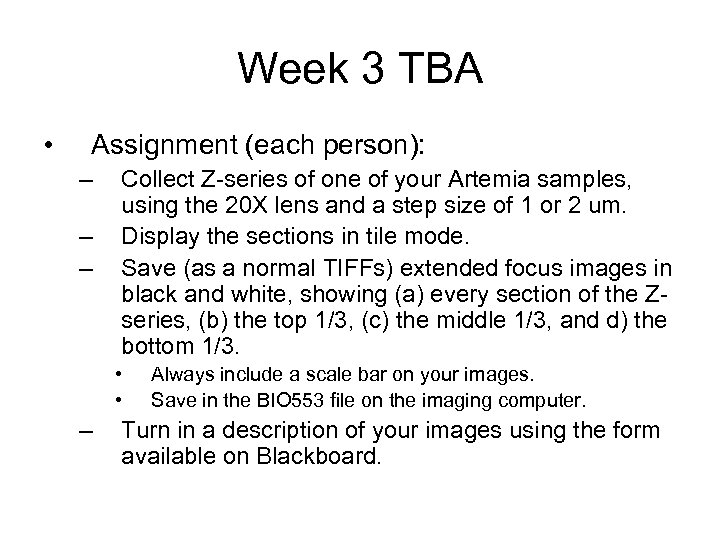 Week 3 TBA • Assignment (each person): – – – Collect Z-series of one