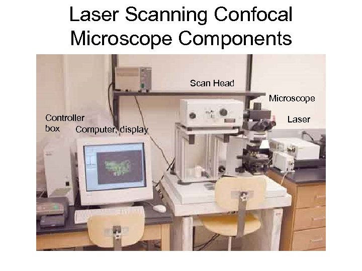 Laser Scanning Confocal Microscope Components Scan Head Microscope Controller box Computer, display Laser 