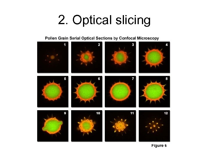 2. Optical slicing 