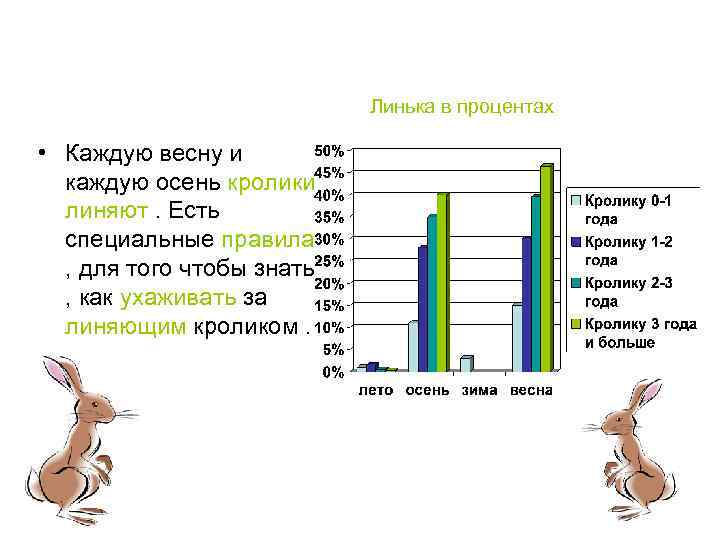 Линька в процентах • Каждую весну и каждую осень кролики линяют. Есть специальные правила