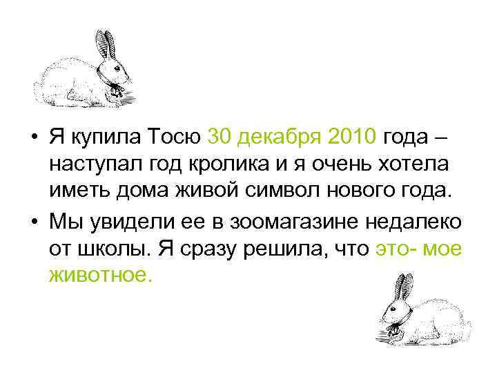  • Я купила Тосю 30 декабря 2010 года – наступал год кролика и