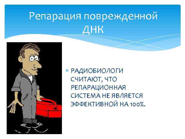 Репарация поврежденной ДНК РАДИОБИОЛОГИ СЧИТАЮТ, ЧТО РЕПАРАЦИОННАЯ СИСТЕМА НЕ ЯВЛЯЕТСЯ ЭФФЕКТИВНОЙ НА 100%. 