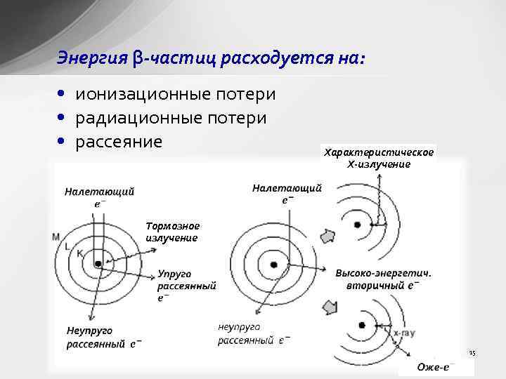 Энергия β-частиц расходуется на: • ионизационные потери • радиационные потери • рассеяние Характеристическое X-излучение