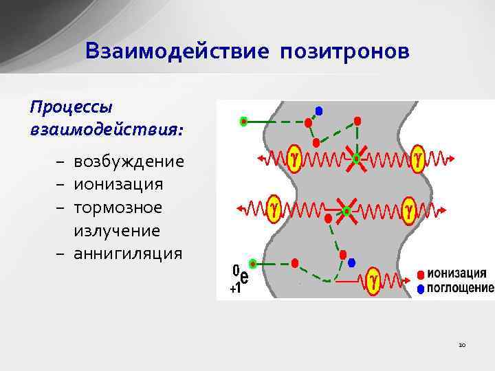 Взаимодействие позитронов Процессы взаимодействия: − возбуждение − ионизация − тормозное излучение − аннигиляция 20