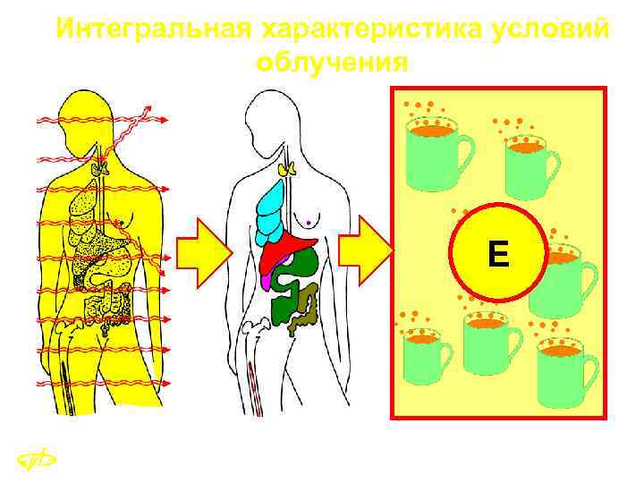 Интегральная характеристика условий облучения E 28 