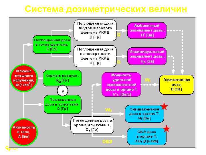 Система дозиметрических величин 38 