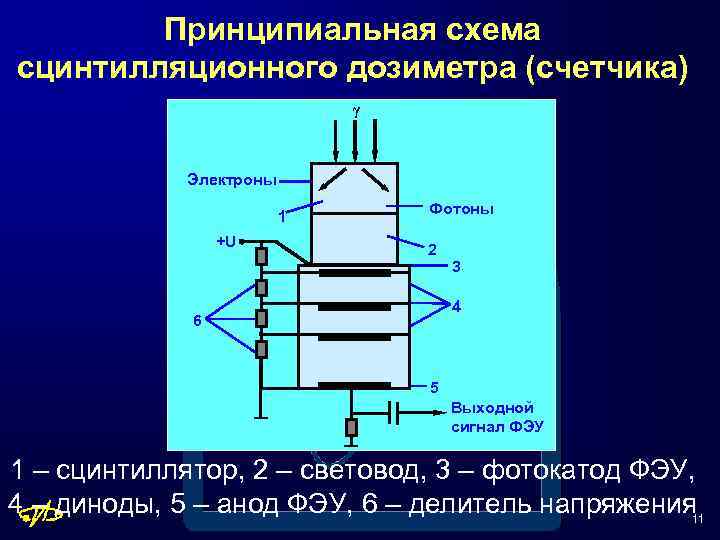 Принципиальная схема сцинтилляционного дозиметра (счетчика) γ Электроны 1 +U Фотоны 2 3 4 6