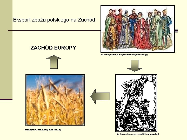 Eksport zboża polskiego na Zachód ZACHÓD EUROPY http: //img. interia. pl/encyklopedia/nimg/szlachta. jpg http: //agrowschod.
