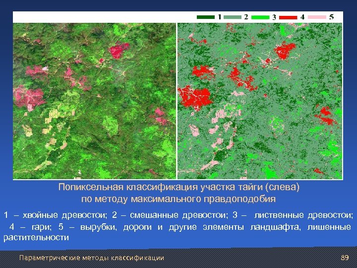Попиксельная классификация участка тайги (слева) по методу максимального правдоподобия 1 – хвойные древостои; 2