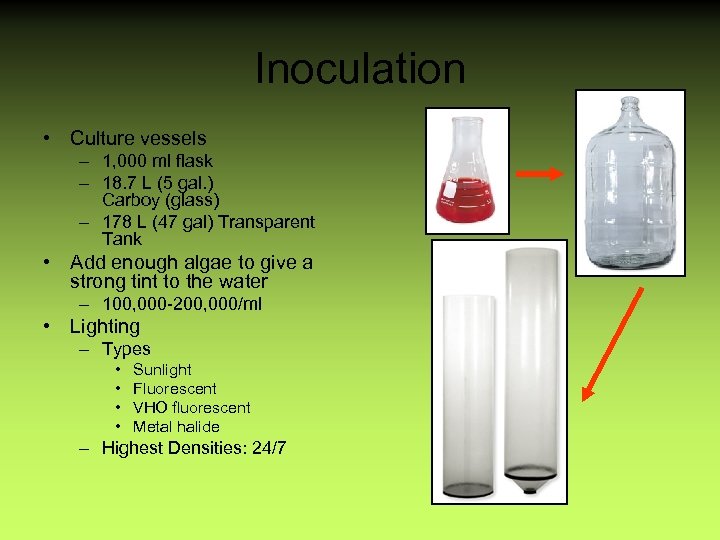 Inoculation • Culture vessels – 1, 000 ml flask – 18. 7 L (5