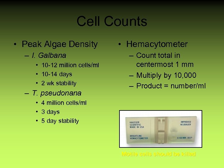 Cell Counts • Peak Algae Density – I. Galbana • 10 -12 million cells/ml