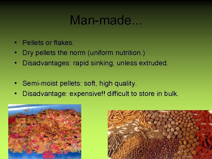Man-made. . . • Pellets or flakes. • Dry pellets the norm (uniform nutrition.
