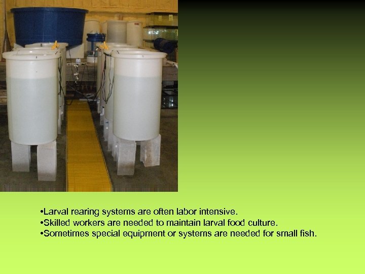  • Larval rearing systems are often labor intensive. • Skilled workers are needed