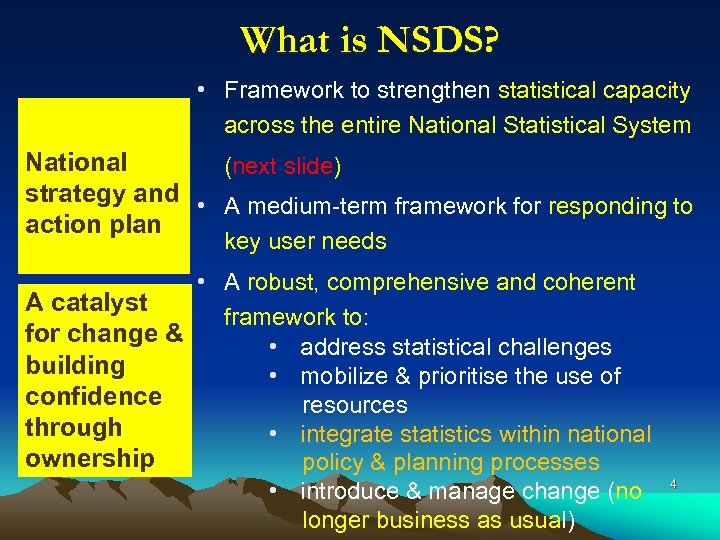 What is NSDS? • Framework to strengthen statistical capacity across the entire National Statistical