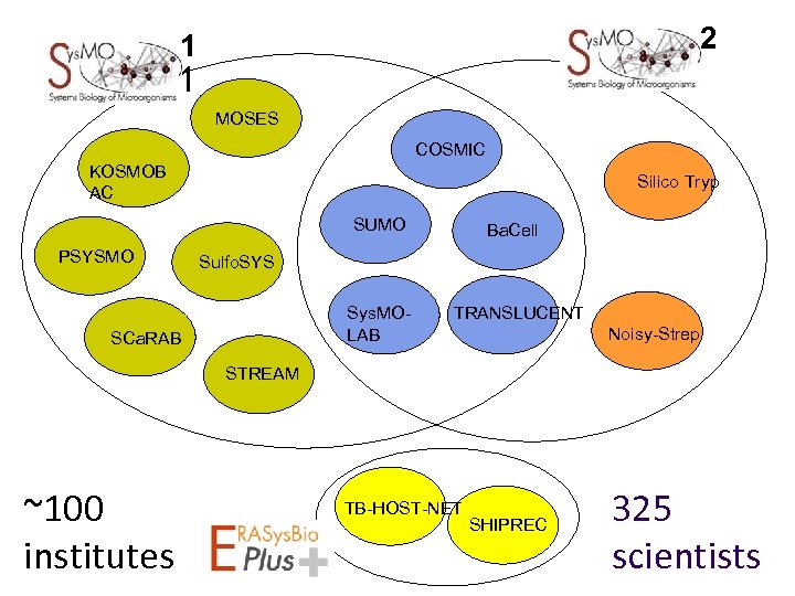 2 1 Sys. MO 2 Sys. MO 1 MOSES COSMIC KOSMOB AC Silico Tryp