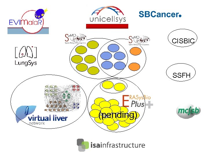 CISBIC SSFH (pending) 