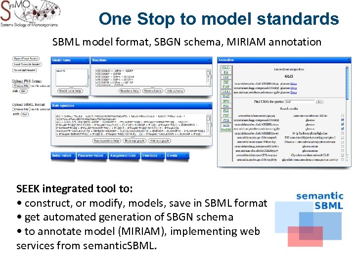 One Stop to model standards SBML model format, SBGN schema, MIRIAM annotation SEEK integrated