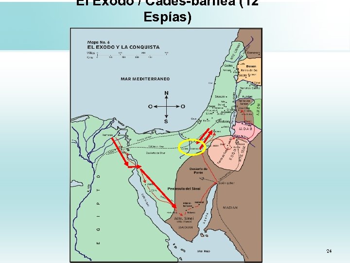 El Éxodo / Cades-barnea (12 Espías) 24 