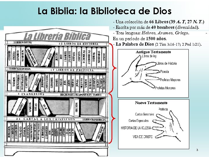 La Biblia: la Biblioteca de Dios - Una colección de 66 Libros (39 A.