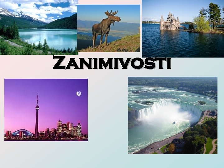 Zanimivosti 
