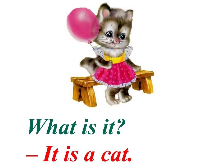 What is it? – It is a cat. 