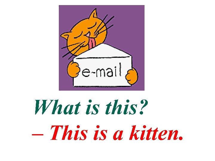 What is this? – This is a kitten. 