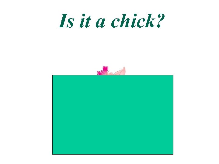 Is it a chick? 
