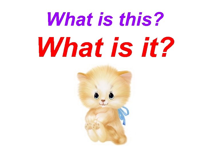 What is this? What is it? 