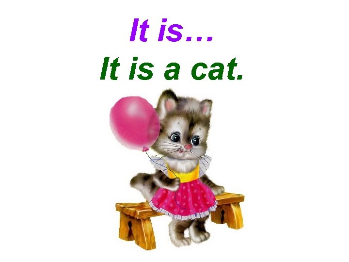 It is… It is a cat. 