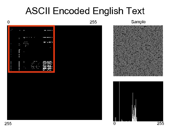 ASCII Encoded English Text 0 255 Sample 255 0 255 